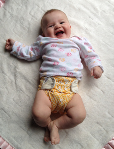PocketClothDiaper